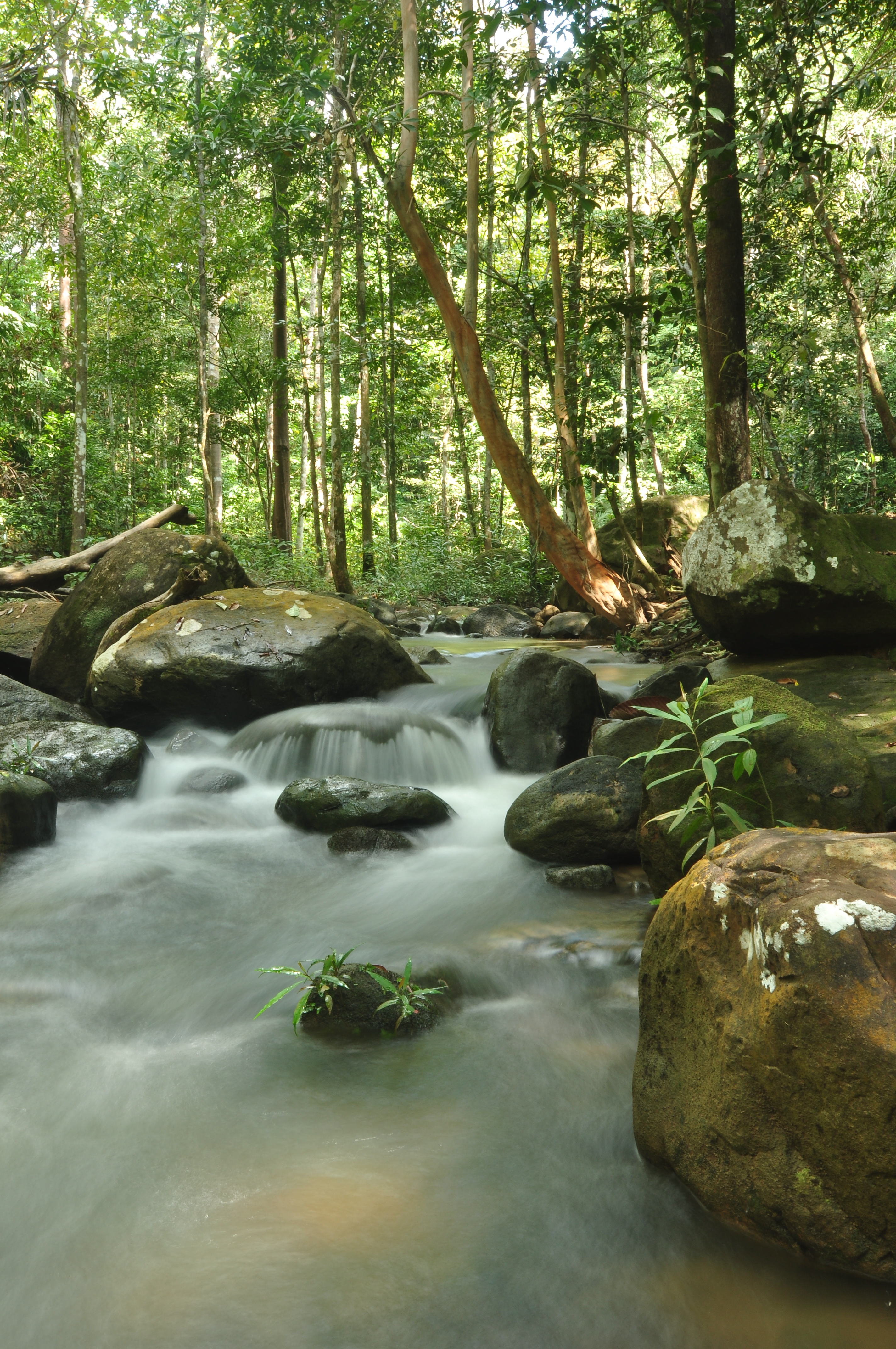 Taman Eko-Rimba Bukit Bertangga